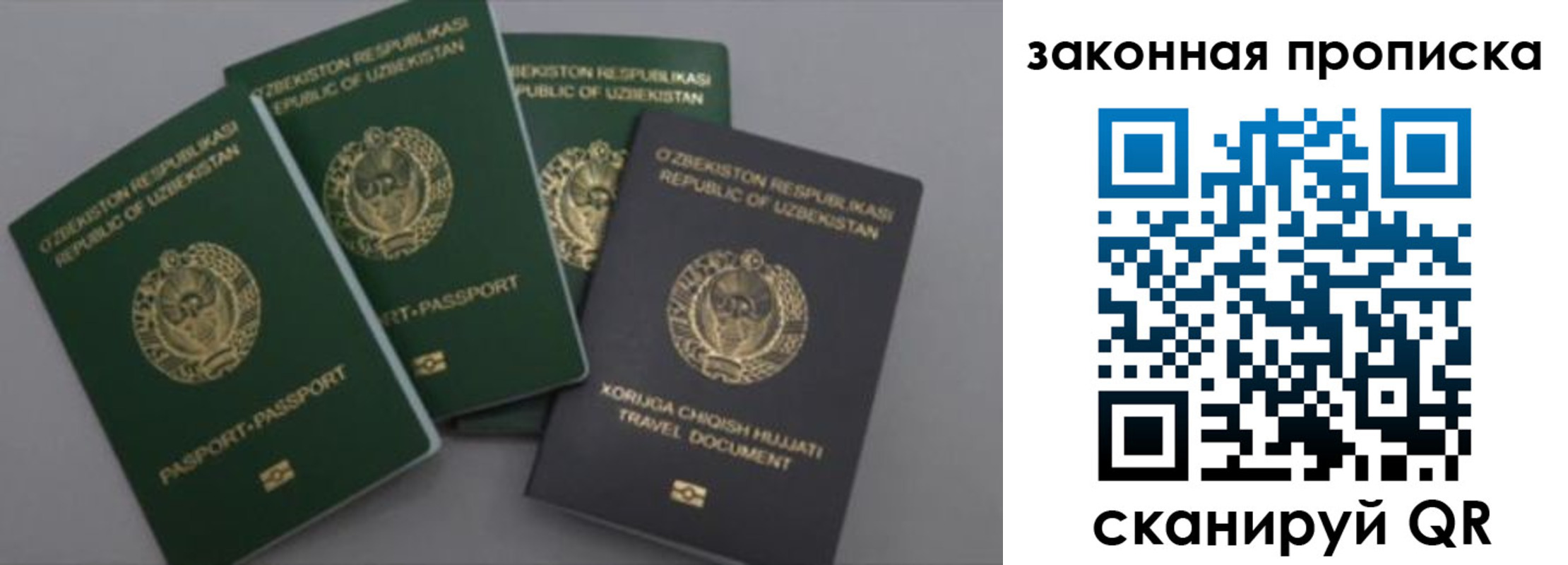 прописка законно в Ростовской области